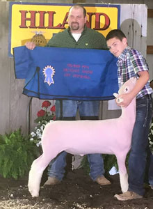 Daniels Winner